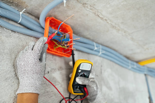 Best Electric Panel Repair  in Renville, MN